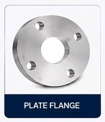 Stainless Steel Flanges