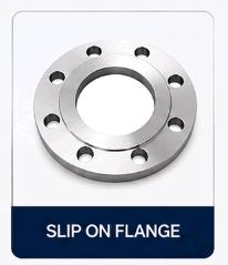 Stainless Steel Flanges