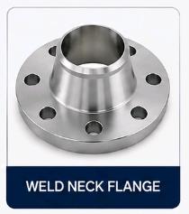 Stainless Steel Flanges