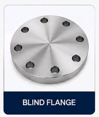 Stainless Steel Flanges